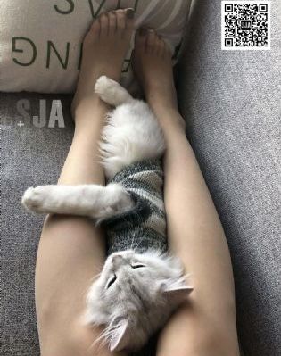 姐妹病毒在线播放_4K高清迅雷在线观看